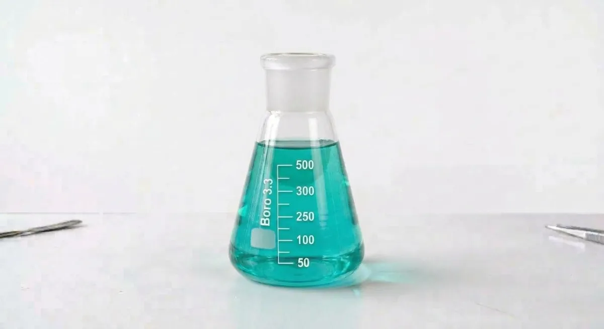 BORUCAM Şilifli Erlen 100 mL NS 14/23